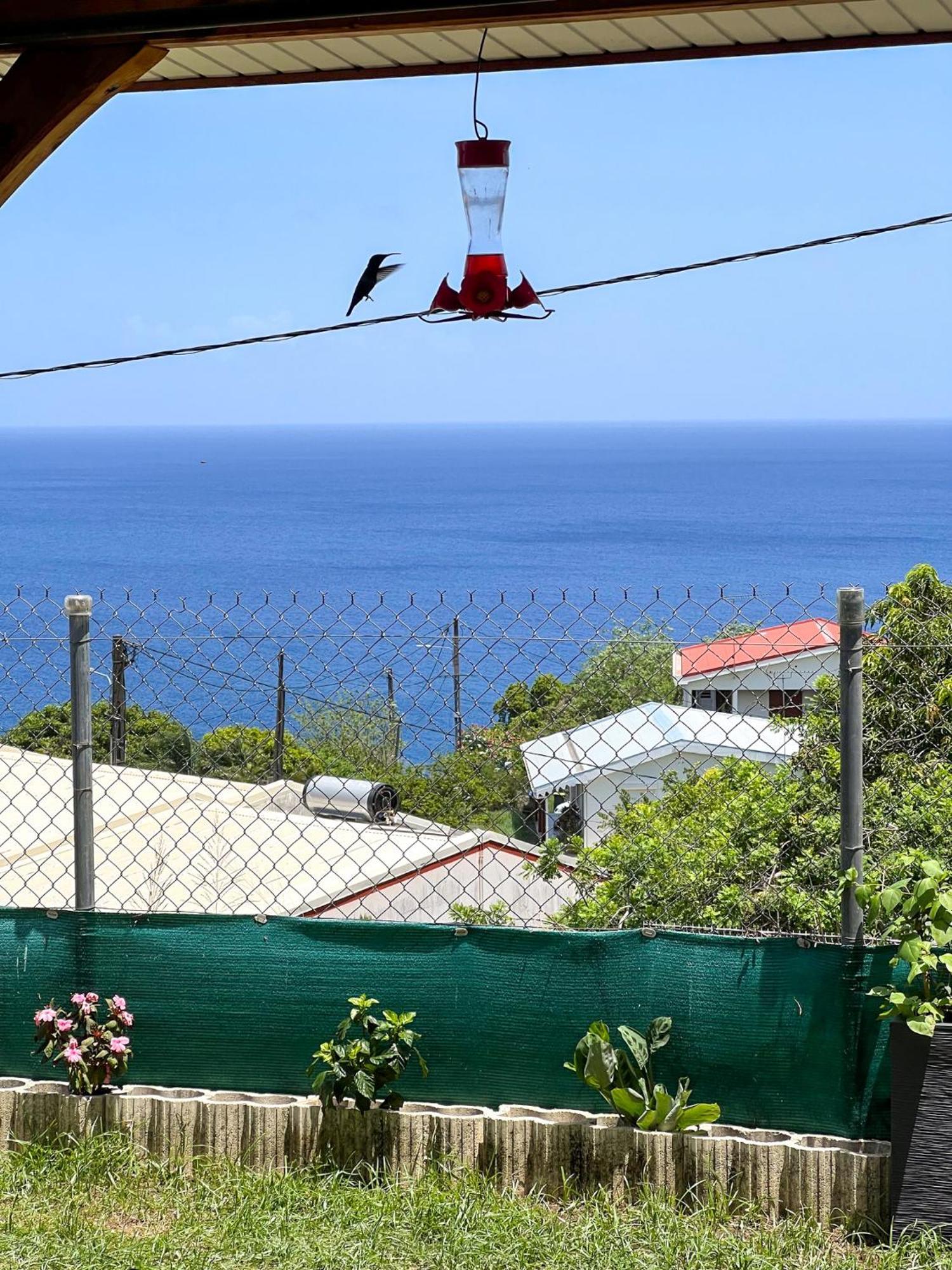 Casa Francois Villa Le Carbet Exterior photo